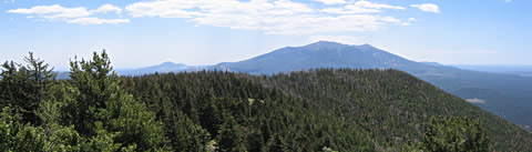 San Francisco Peaks from Kendrick Summit