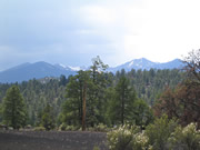 Kachina Peaks seen from Sunset Crater