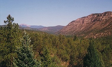 View towards Baldy from Vaca Trail