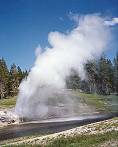 Riverside Geyser